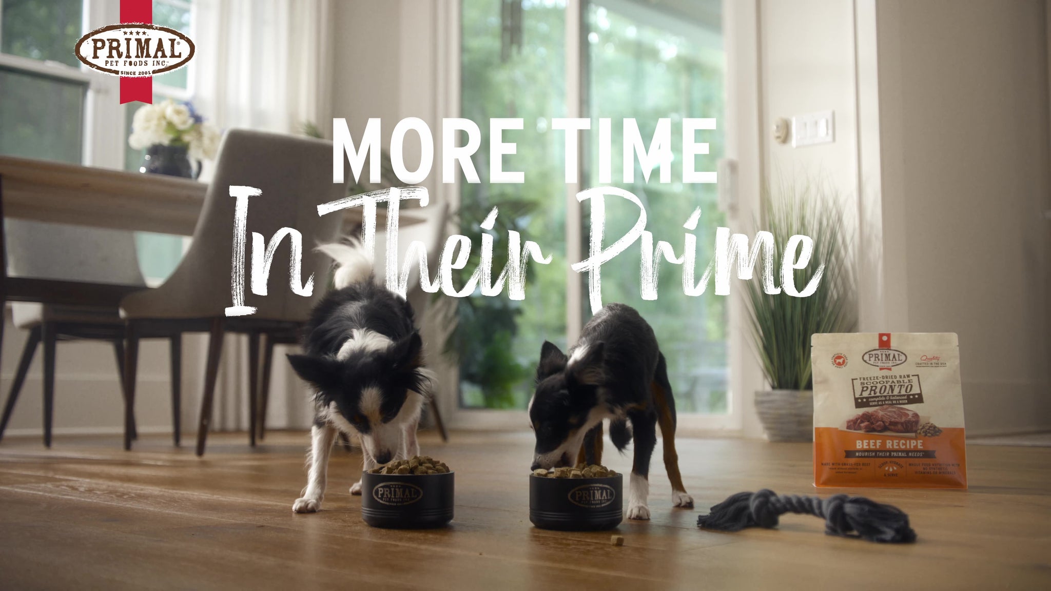 PRIMAL PET FOODS LAUNCHES ‘MORE TIME IN THEIR PRIME’ CAMPAIGN